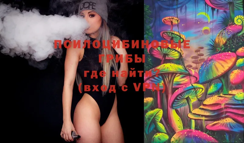 Галлюциногенные грибы MAGIC MUSHROOMS  купить наркоту  Лагань 